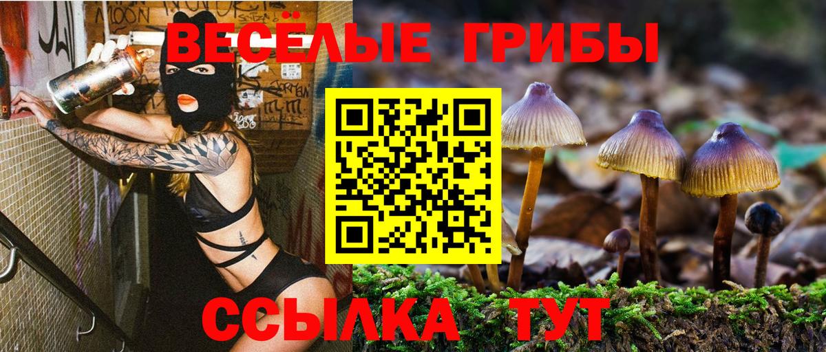 Псилоцибиновые грибы Magic Shrooms Миасс
